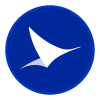 Medsky Airways airline