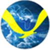 Sky Gabon airline