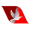 Real Tonga airline