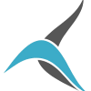 Tailwind airline