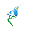 Buraq Air airline